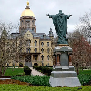 Meet your Posher, Payton